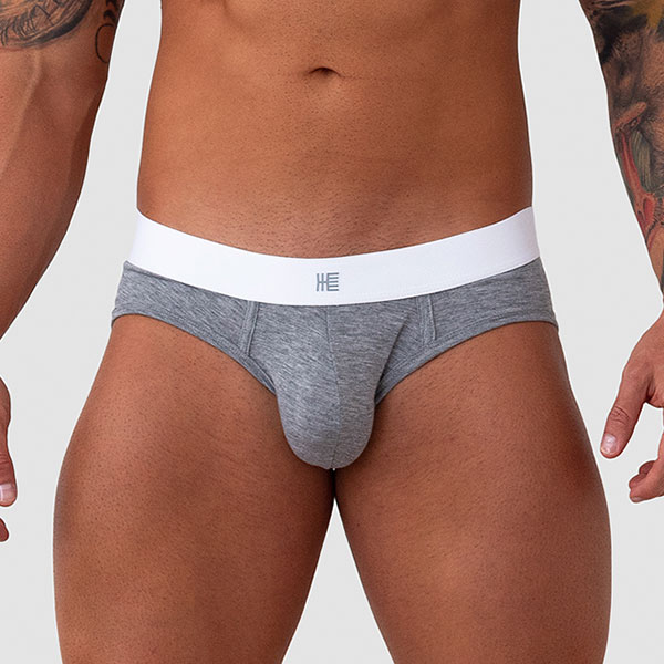 BRIEF GRIS